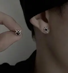 ピアス ユニセックス2個セット 北極星 ブラック