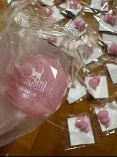 S.様専用　　サトミ ONE MAN LIVE 2025 グッズ ピンク