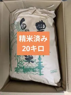 精米済み　白米コシヒカリ　20キロ 令和6年　長野県産のサムネイル