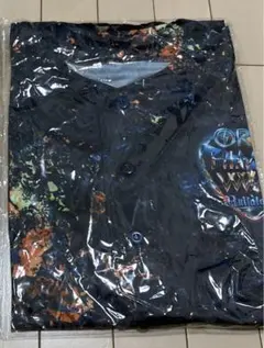 Item thumbnail for item eacdf73c-82fa-4c56-a1df-9b8b7cfdb7b8