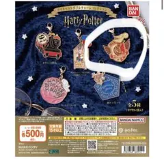 【最安】ハリー・ポッター ダイキャストダブルチャーム コレクション クィディッチ