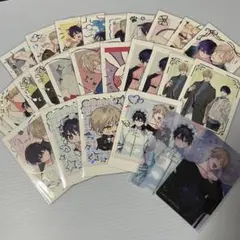 ぱしゃこれ ナカまで愛して コンプセット+おまけ 26枚セット