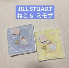 【新品タグ】ジルスチュアート タオルハンカチ 2枚組 ネコ猫ねこ 刺繍 ミモザ