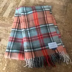 Item thumbnail for item 2cf671df-e3d7-423c-a46f-9944fee83c74