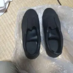 Item thumbnail for item fa75213a-7674-4bfb-a3f9-8301a6cca91c