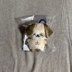 2026年最新】ドンヘ ぬいぐるみの人気アイテム - メルカリ