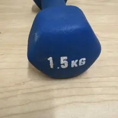 SPORTS AUTHORITY ダンベル 1.5kg 青