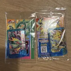 ポケモンフレンダ スペシャル　 レックウザ ピカチュウ