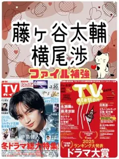 藤ヶ谷太輔 横尾渉 TVStation 5号 テレビステーション 切り抜き②