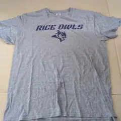RICE OWLS Tシャツ グレー Delta Pro Weightのサムネイル