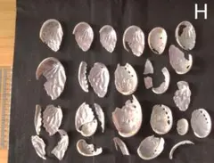 アワビ貝殻 約30個