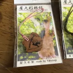 屋久杉根付 3個セット ストラップ