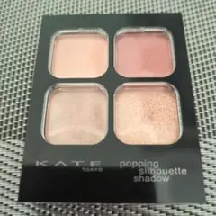 KATE ポッピングシルエットシャドウ EX-2