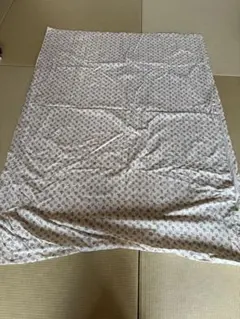 Item thumbnail for item 8e989669-9867-4324-8458-b730a165a8e9