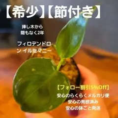 2026年最新】イルセマニーの人気アイテム - メルカリ