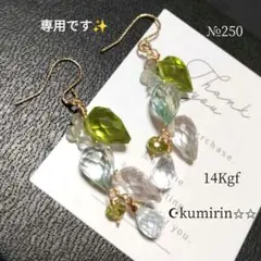 りん♪プロフ読んで下さいね(^^)様 リクエスト 2点 まとめ商品