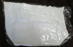 Item thumbnail for item 9fd0a6df-a74a-436c-a075-648f4784704f