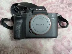 2026年最新】sony a7ivの人気アイテム - メルカリ