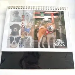 Item thumbnail for item 41e68741-af08-4d06-9f10-bb0c31ae3b4b