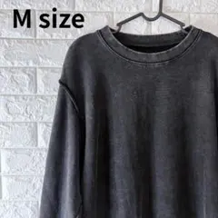 Item thumbnail for item 65d9cfb0-12ab-401c-b7de-d0551b6c5803