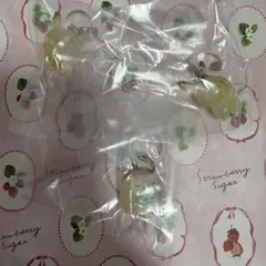 ポケモン めじるしアクセサリー