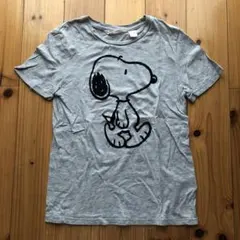 H&M   スヌーピー　Tシャツ　130cm  140cm