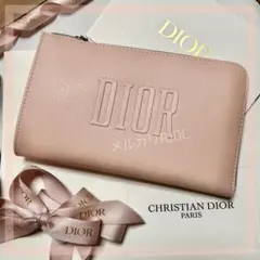 新品未使用〗DIOR 激レア入手困難 ༘*⋆ メタルロゴ クラッチ ポーチ