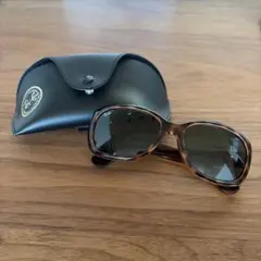 Ray-Ban RB4101F ブラウンサングラス ケース付き　レイバン