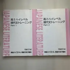 高2ハイレベル現代文トレーニング part1.2セット 東進 - メルカリ
