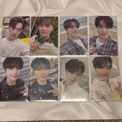 会場限定 トレカ weverse ディノ 8枚セット