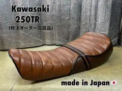 送料無料☆新品☆バリオス2用あんこ抜きタックロールシート☆完成品
