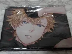 ヒプマイ 理鶯 ビッグタオル 2 - メルカリ