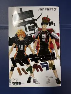 ハイキュー!!公式カラーイラスト集 ハイカラ!!