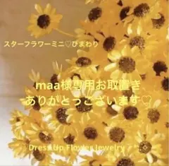 maa様専用♡スターフラワーミニ♡ひまわりカラー加工