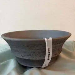 ま*よ様 みやび鉢 コモドライ 検エイル コミフォラ モンストローサ