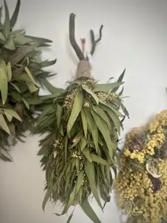 Item thumbnail for item a6edbc8b-c4ce-441b-bbf0-bd6ae0eb8db2