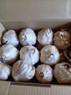 ニンニク　2.5kg　無農薬のサムネイル