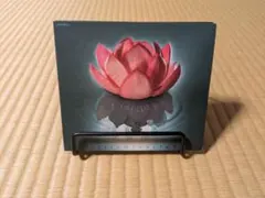 サディスティック・ミカ・バンド／ナルキッソス（初回盤 CD+DVD）