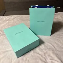 ⭐︎2枚⭐︎厚紙タイプ⭐︎Tiffany & Co. ショッピングバッグ 中サイズ