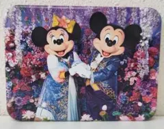 キャンディー　イマジニング ザ・マジック ミッキー　ミニー 実写　缶