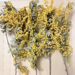 Item thumbnail for item 417470fb-27be-4d4f-ad0c-add6a12e6413