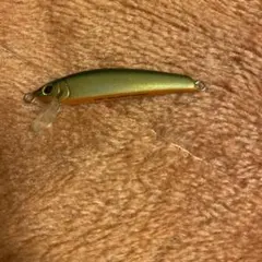 Item thumbnail for item c3af4338-70b4-4d37-8e77-c4ebb79d0792