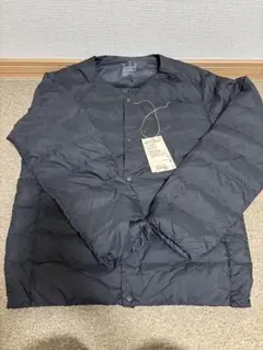 Item thumbnail for item 0ec5d6b5-2e71-4421-be6d-5a10f23efa73