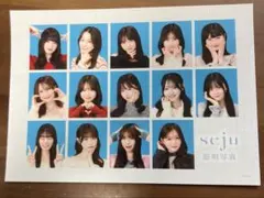 seju 証明写真 7枚セット シークレットあり。 個人購入検討可。 seju 証明写真 シークレット レア 他の商品と購入で値引きします
