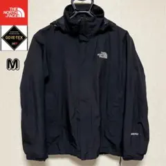 ノースフェイス ゴアテックス マウンテンジャケット メンズM ブラック