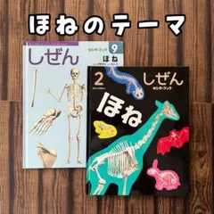 骨のテーマ　キンダーブックしぜん　フレーベル館