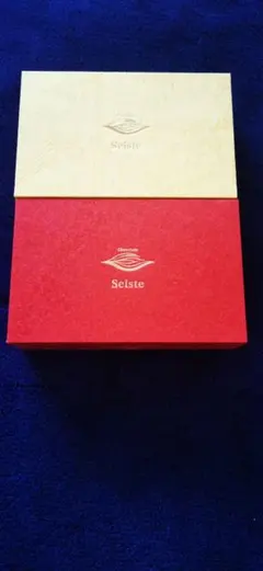 アムールドゥショコラ Seiste 空箱 2個セット