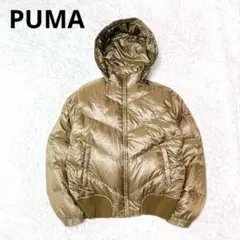 Item thumbnail for item b12a58de-2dc9-40da-8b52-5eb0698055de