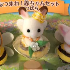 ショコラウサギの赤ちゃん