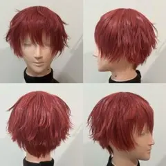 天城一彩　セット済み　ウィッグ　あんスタ　ASSIST 天城一彩 セット済み ウィッグ あんスタ ASSIST - メルカリ